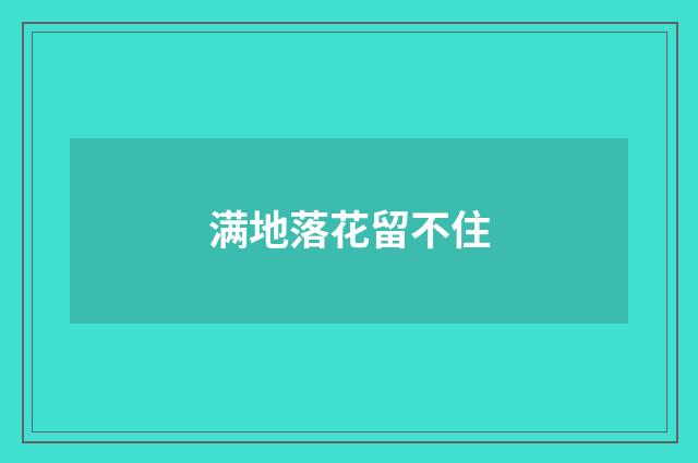 满地落花留不住