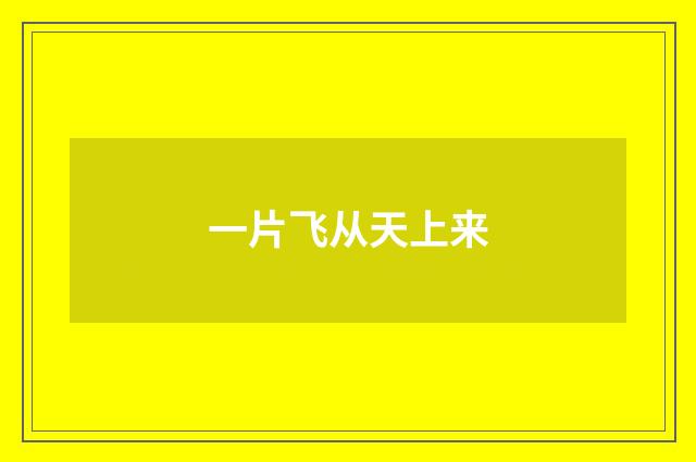 一片飞从天上来
