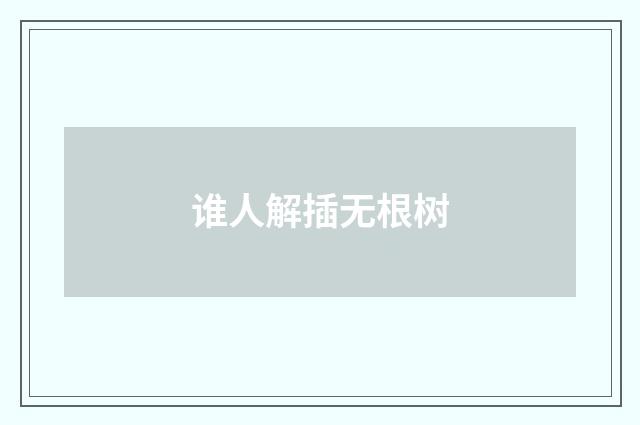 谁人解插无根树