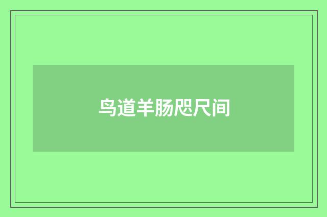 鸟道羊肠咫尺间