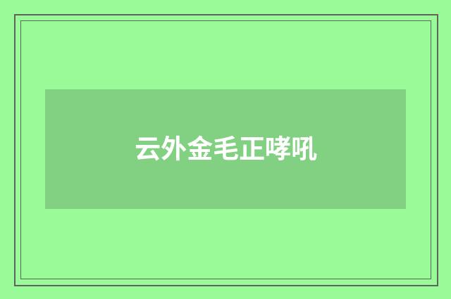 云外金毛正哮吼