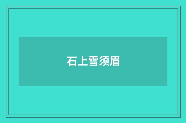 石上雪须眉