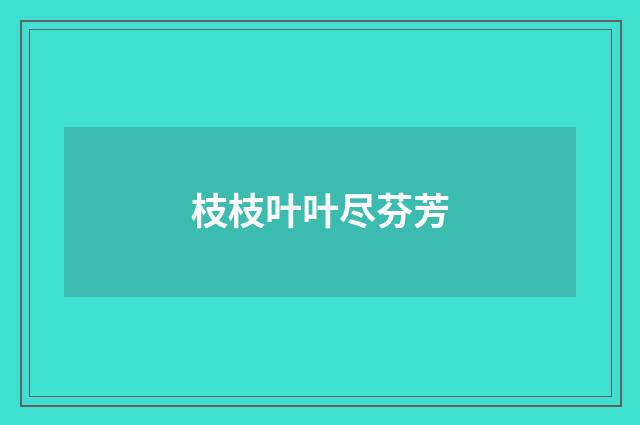 枝枝叶叶尽芬芳