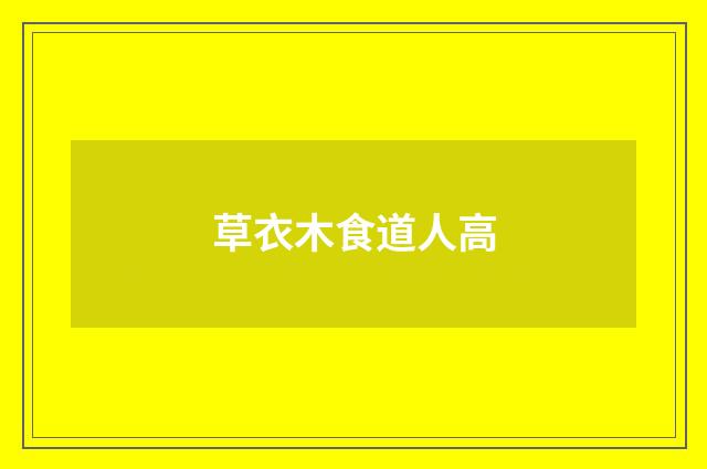 草衣木食道人高