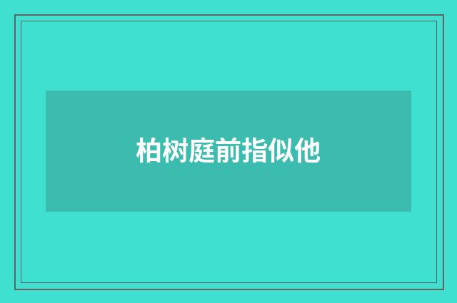 柏树庭前指似他
