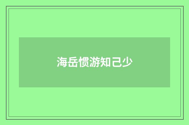 海岳惯游知己少