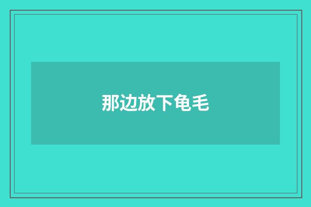 那边放下龟毛