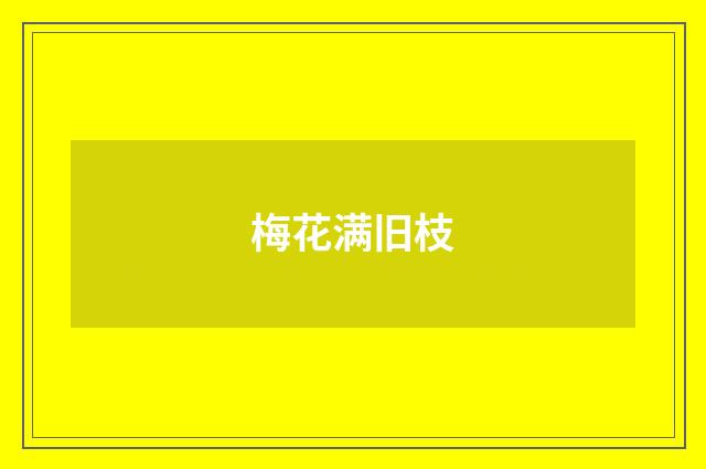 梅花满旧枝