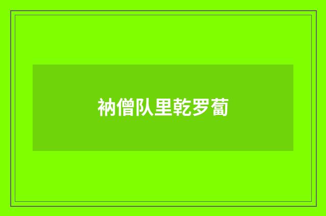 衲僧队里乾罗蔔
