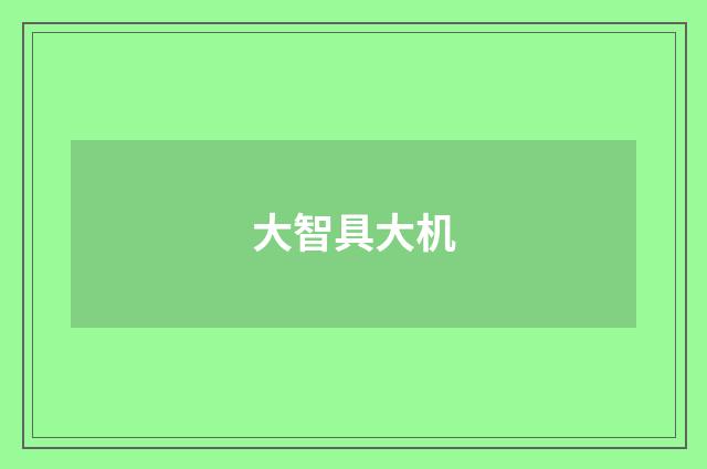 大智具大机