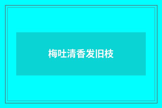梅吐清香发旧枝