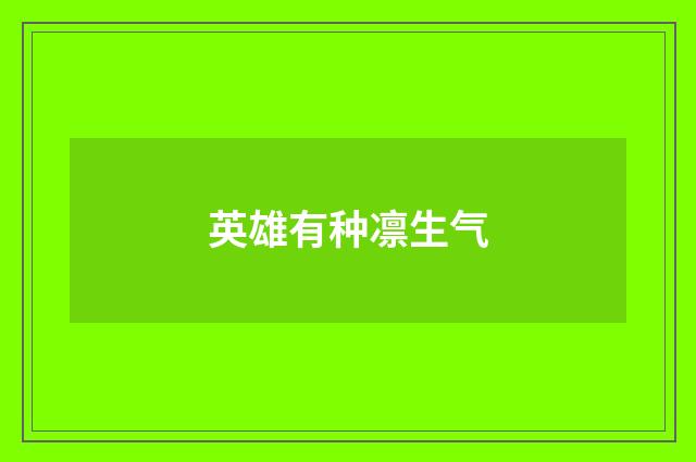 英雄有种凛生气