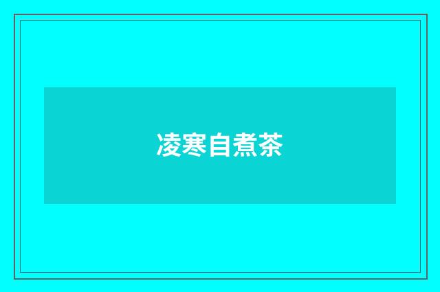 凌寒自煮茶