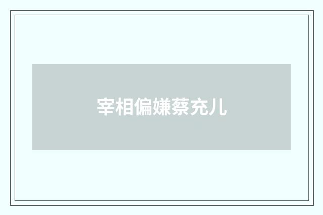 宰相偏嫌蔡充儿