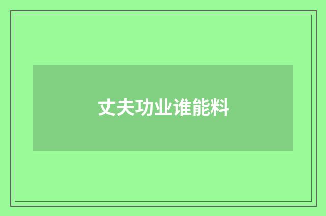 丈夫功业谁能料