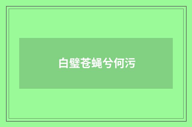 白璧苍蝇兮何污
