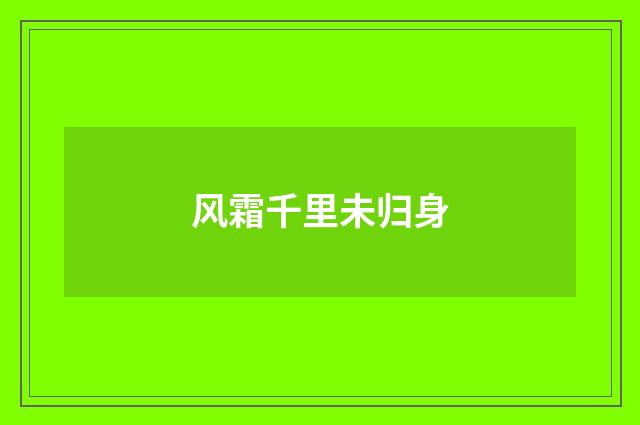 风霜千里未归身