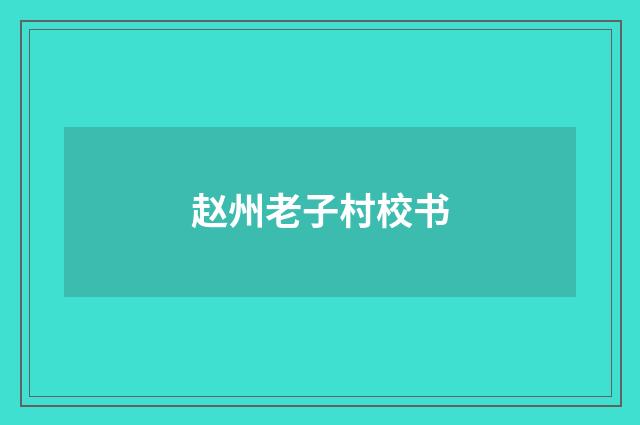 赵州老子村校书