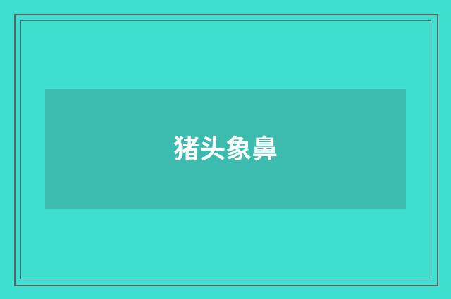 猪头象鼻