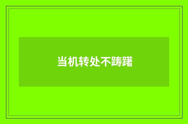 当机转处不踌躇