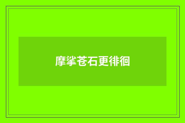 摩挲苍石更徘徊
