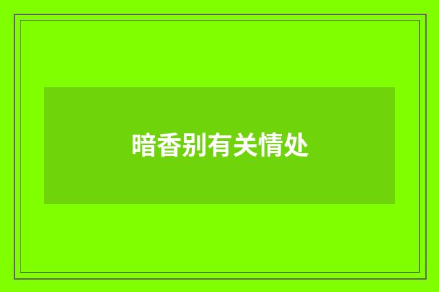 暗香别有关情处