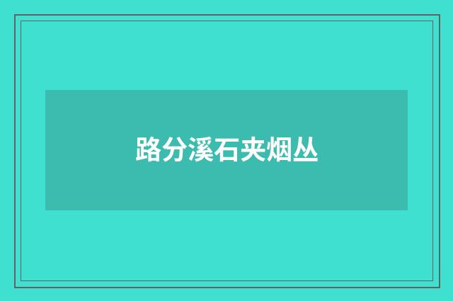 路分溪石夹烟丛