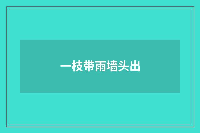 一枝带雨墙头出