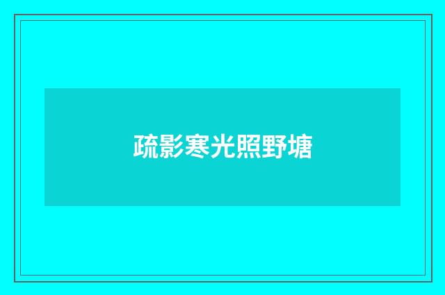 疏影寒光照野塘