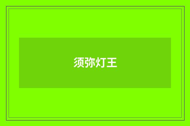 须弥灯王