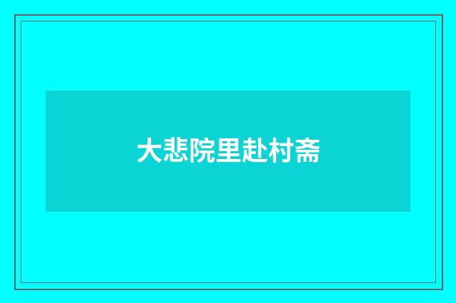 大悲院里赴村斋