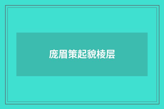 庞眉策起貌棱层