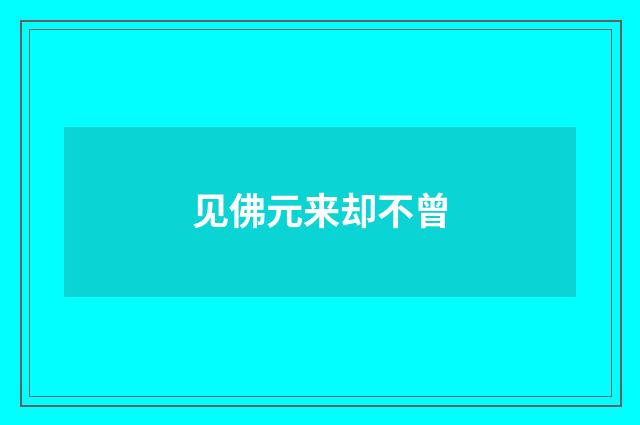见佛元来却不曾