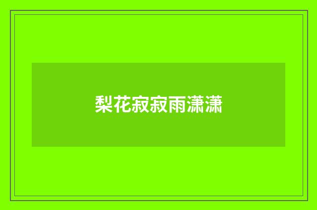 梨花寂寂雨潇潇