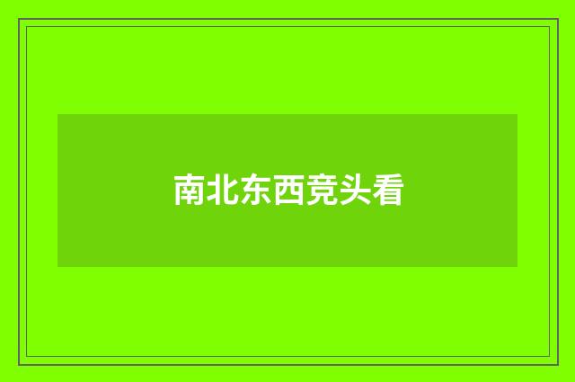 南北东西竞头看