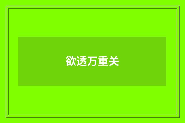 欲透万重关