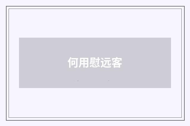 何用慰远客