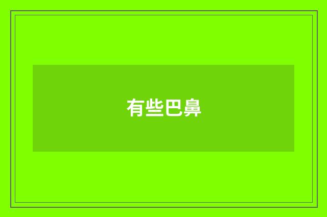 有些巴鼻