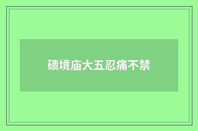 碛境庙大五忍痛不禁