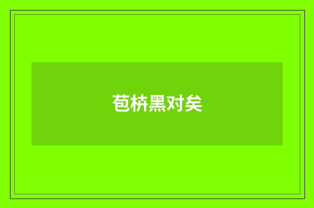 苞枿黑对矣