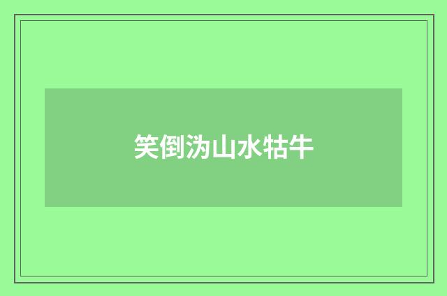 笑倒沩山水牯牛