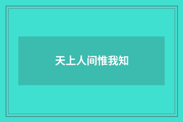 天上人间惟我知