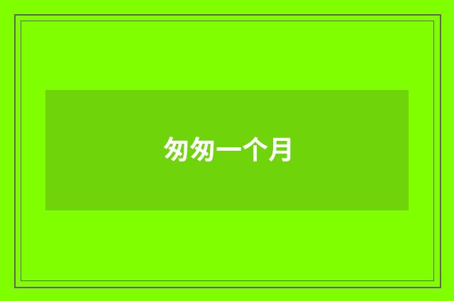 匆匆一个月