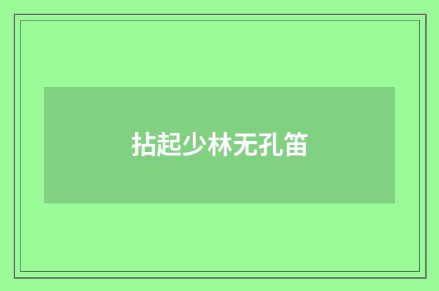 拈起少林无孔笛