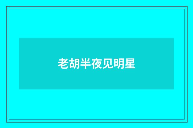 老胡半夜见明星