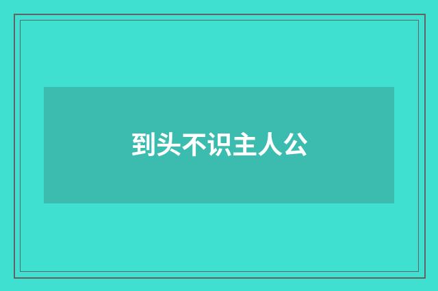 到头不识主人公