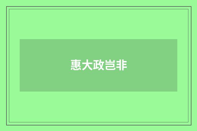 惠大政岂非