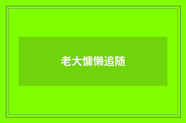 老大慵懒追随