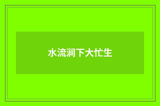 水流涧下大忙生