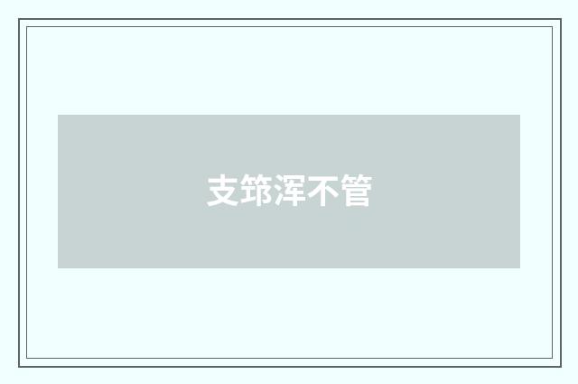 支筇浑不管